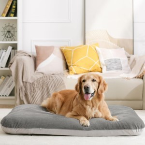 Extra Large Dog Bed Orthopedic Pet Beds 47 Inch Jumbo Crate Pad Mat Washable Anti Slip Dog Sleeping Mattress with Removable Cover, Light Grey XL