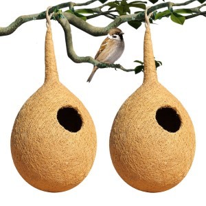 Organic Large Size Bird NEST Set of 2, Purely Made by Bird Building Technique Bird House (Hanging, Wall Mounting, Tree Mounting) (Pack of 2